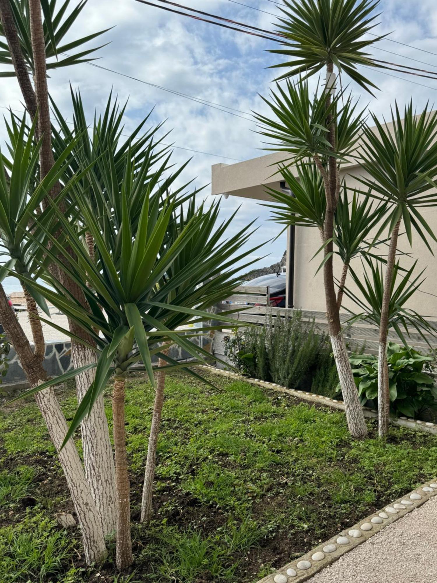 Ionian View B&B 希马拉 客房 照片